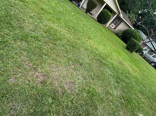 Bush Trimming by Jestin Oxendine for Kevin B. in Augusta, GA