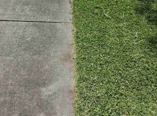 Ronald M.'s Lawn Maintenance service result