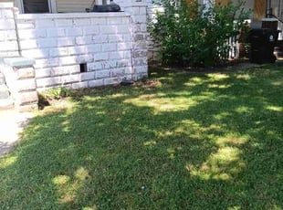 Wendell E.'s Lawn Care service result