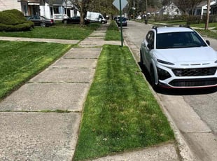 Joe S.'s Lawn Care service result