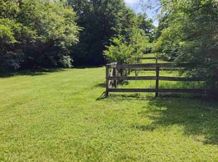 Angelia A.'s Lawn Service service result
