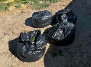 Cleanups by Justin Cervantes for Alex S. in Turlock, CA