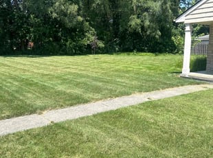 Dave P.'s Lawn Service service result