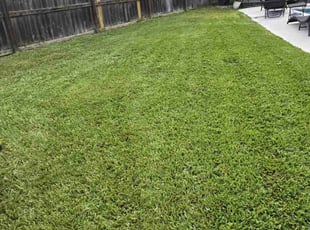 Justin R.'s Yard Cutting service result