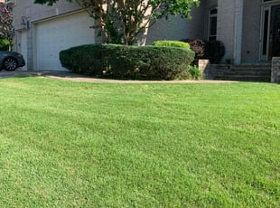 Bush Trimming by Octavius Croston for Allen L. in Little Rock, AR