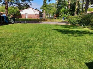 Carl P.'s Lawn Mowing Service service result