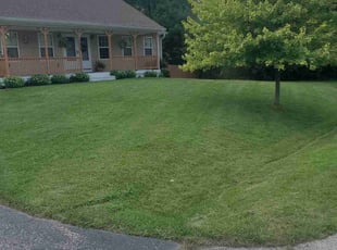 Misti E.'s Lawn Mowing Service service result