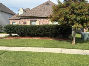 Bush Trimming by Jerry Wells for Beverly C. in Zachary, LA