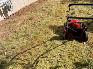 Brad F.'s Lawn Care service result