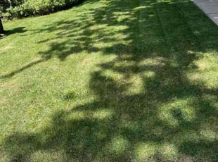 Jerome J.'s Lawn Mowing Service service result