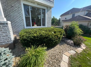 Bush Trimming by Gadiel Sandrez for Andy T. in Eden Prairie, MN