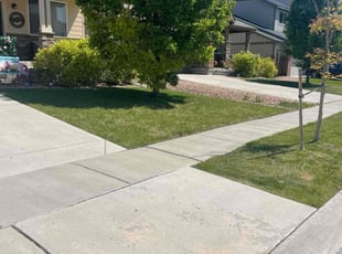 Brandon S.'s Lawn Maintenance service result