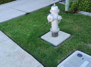 Rukia R.'s Lawn Service service result