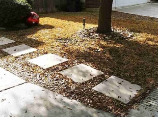 Leaf Removal by Derek Schoenfeld for Clarece M. in San Antonio, TX