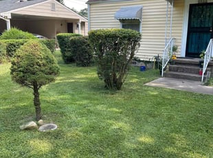 Bush Trimming by Kevin Corbin for Veroncia W. in Chattanooga, TN