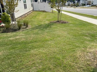 Ollie B.'s Grass Cutting service result