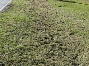 Ray S.'s Lawn Service service result
