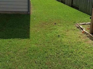 Walter m.'s Lawn Care service result