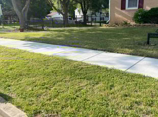 Felicia S.'s Lawn Care service result