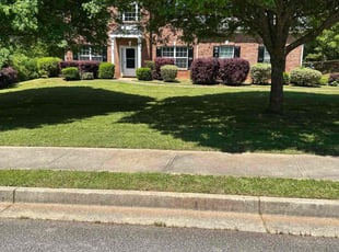 SABRINA L.'s Grass Cutting service result