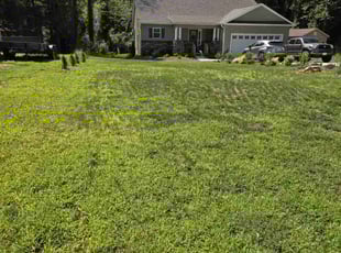 Allen J.'s Lawn Maintenance service result