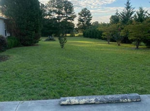 Syrina M.'s Lawn Maintenance service result