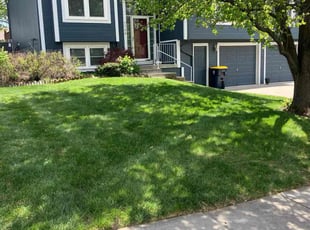 Lisa R.'s Lawn Service service result