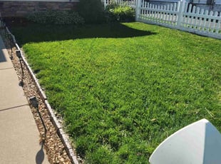 Misty N.'s Lawn Maintenance service result