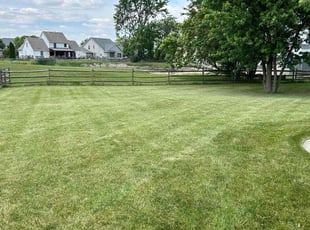 Stacey D.'s Lawn Care service result