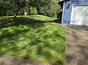 Kyle M.'s Lawn Service service result