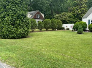 Lisa G.'s Lawn Mowing Service service result