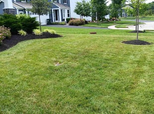 Bridgette j.'s Yard Cutting service result