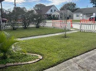 Pascal G.'s Lawn Mowing Service service result
