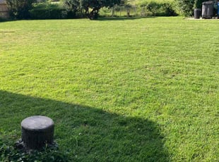 Jeannie R.'s Lawn Care service result