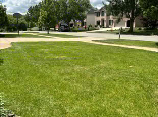 Jamie E.'s Lawn Service service result