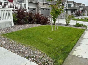 Maralee M.'s Lawn Care service result