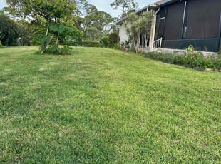 Mario C.'s Lawn Mowing service result