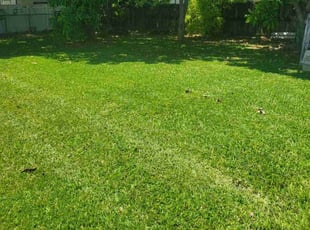 Antoan G.'s Lawn Care service result
