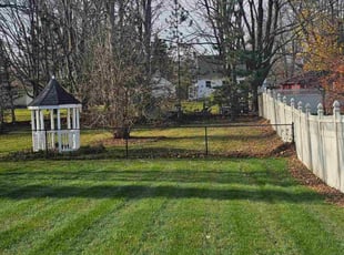 Colleen T.'s Yard Cutting service result
