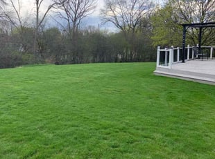 Shari K.'s Lawn Mowing Service service result