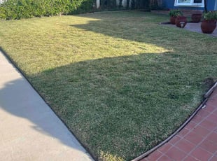 Ashley B.'s Lawn Service service result