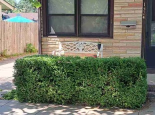 Bush Trimming by William Beacham for Curtis L. in Wichita, KS