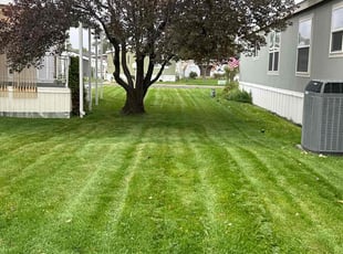 Heather G.'s Lawn Service service result