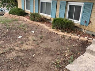 Bush Trimming by Eugenio Pérez for Lee B. in Aurora, CO