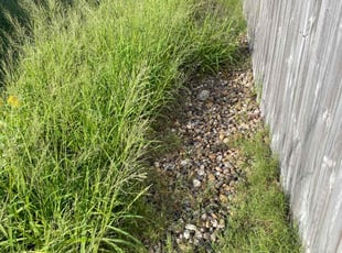 Weeding by Heriberto Lopez for Lina G. in Corpus Christi, TX