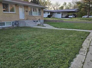 Emerson C.'s Yard Cutting service result