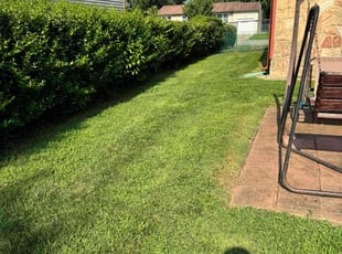 Eric F.'s Lawn Care service result