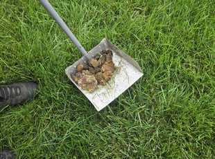 Cleanups by Kyle Yelton for Kimberly G. in Indianapolis, IN