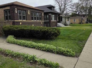 Eric S.'s Grass Cutting service result