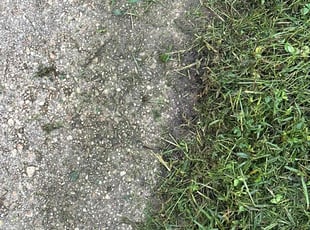 Charlie W.'s Yard Cutting service result